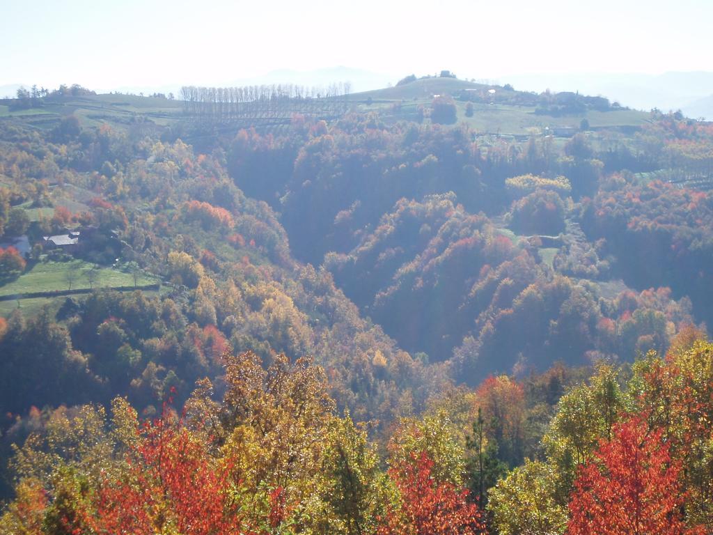 Navilla Igliano Buitenkant foto